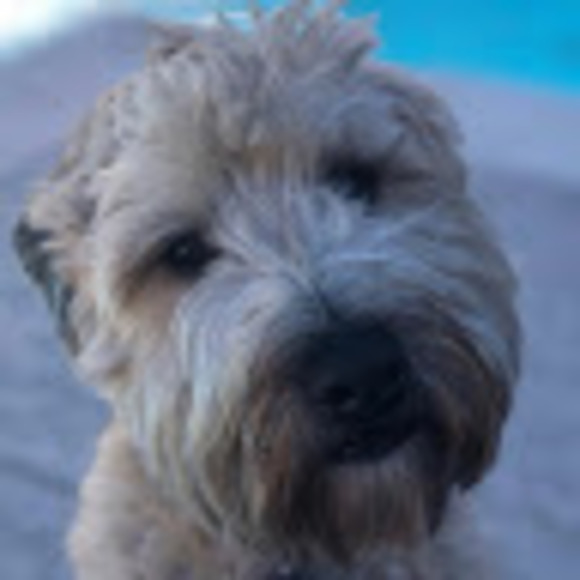 Meet your Posher, Evan - Picture 1 of 1